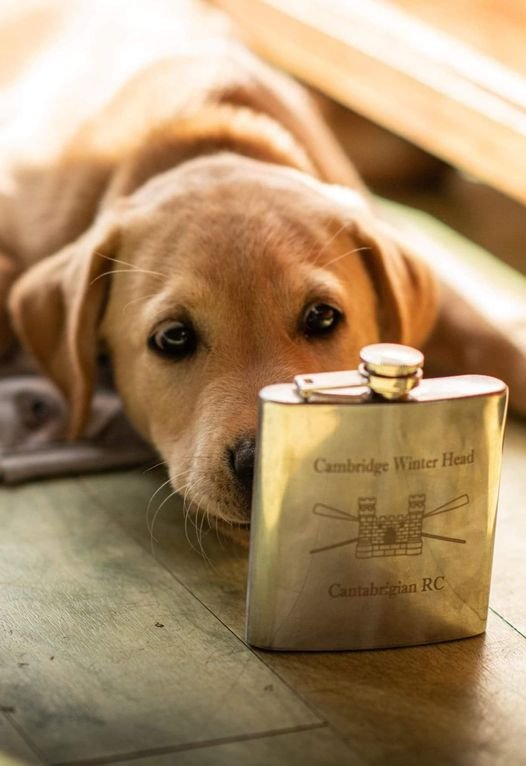 Winter Head hipflask and puppy